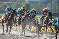 Closing Day DelMar 2012